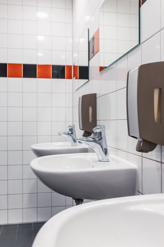 Commercial Toilet Repair detail